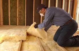 Best Blown-In Insulation  in Winthrop, IA